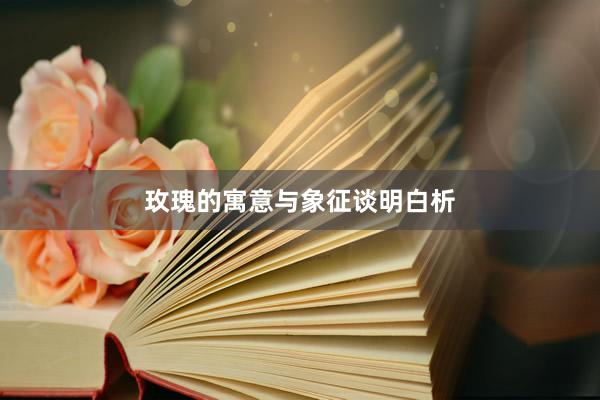 玫瑰的寓意与象征谈明白析